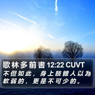 歌 林 多 前 書 12:22 CUVT Bible Verse Image