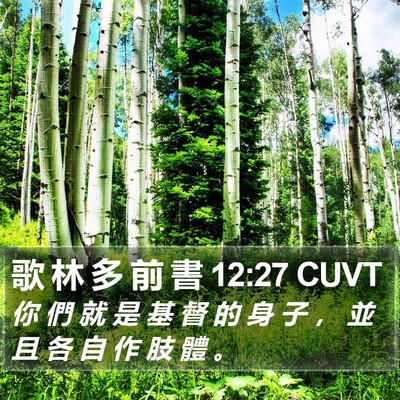 歌 林 多 前 書 12:27 CUVT Bible Verse Image
