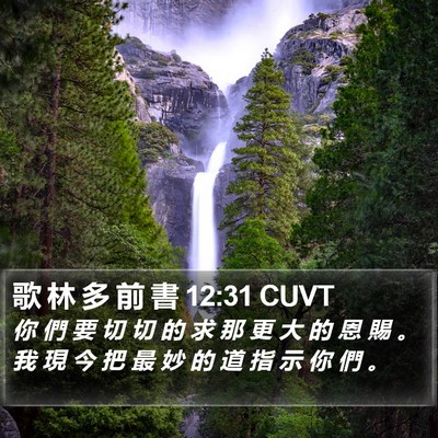 歌 林 多 前 書 12:31 CUVT Bible Verse Image