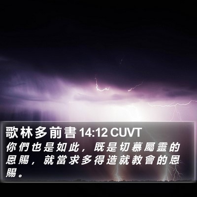 歌 林 多 前 書 14:12 CUVT Bible Verse Image