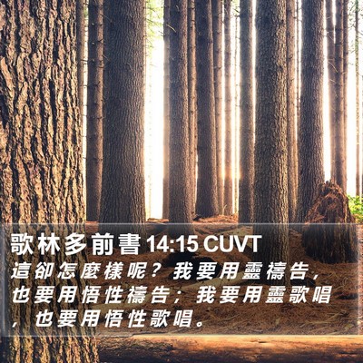 歌 林 多 前 書 14:15 CUVT Bible Verse Image