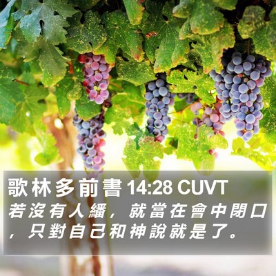 歌 林 多 前 書 14:28 CUVT Bible Verse Image