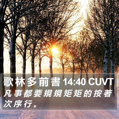歌 林 多 前 書 14:40 CUVT Bible Verse Image