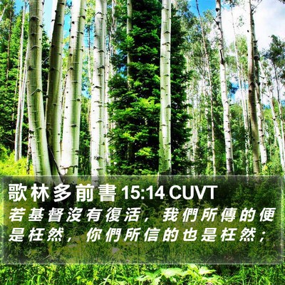 歌 林 多 前 書 15:14 CUVT Bible Verse Image
