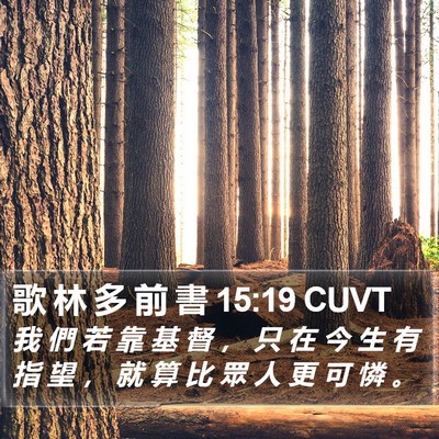 歌 林 多 前 書 15:19 CUVT Bible Verse Image