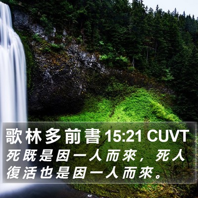 歌 林 多 前 書 15:21 CUVT Bible Verse Image