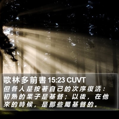 歌 林 多 前 書 15:23 CUVT Bible Verse Image