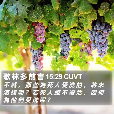 歌 林 多 前 書 15:29 CUVT Bible Verse Image