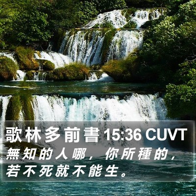 歌 林 多 前 書 15:36 CUVT Bible Verse Image