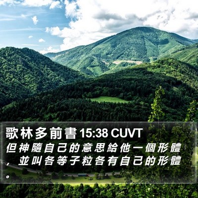 歌 林 多 前 書 15:38 CUVT Bible Verse Image