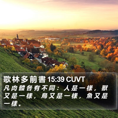 歌 林 多 前 書 15:39 CUVT Bible Verse Image