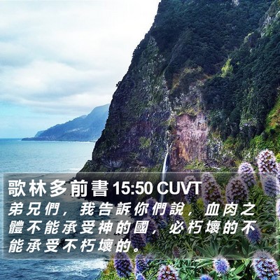 歌 林 多 前 書 15:50 CUVT Bible Verse Image
