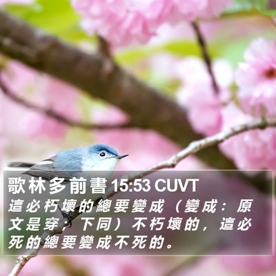 歌 林 多 前 書 15:53 CUVT Bible Verse Image