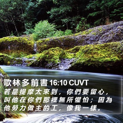 歌 林 多 前 書 16:10 CUVT Bible Verse Image