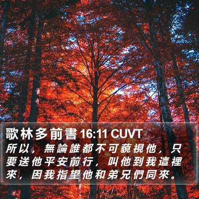 歌 林 多 前 書 16:11 CUVT Bible Verse Image