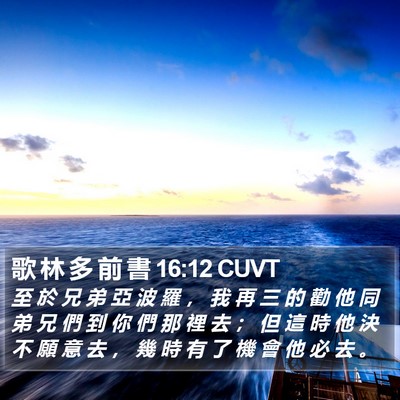 歌 林 多 前 書 16:12 CUVT Bible Verse Image