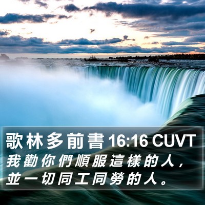歌 林 多 前 書 16:16 CUVT Bible Verse Image