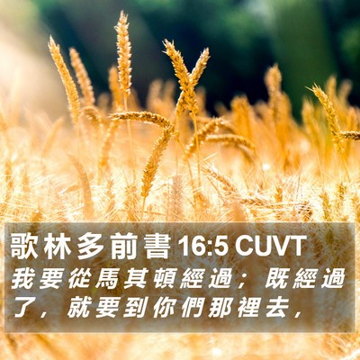 歌 林 多 前 書 16:5 CUVT Bible Verse Image