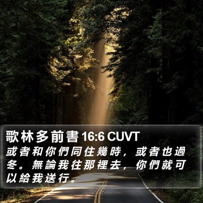 歌 林 多 前 書 16:6 CUVT Bible Verse Image