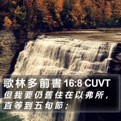 歌 林 多 前 書 16:8 CUVT Bible Verse Image