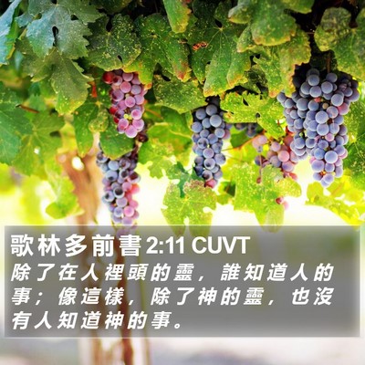 歌 林 多 前 書 2:11 CUVT Bible Verse Image