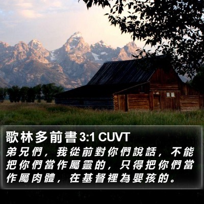 歌 林 多 前 書 3:1 CUVT Bible Verse Image
