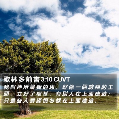 歌 林 多 前 書 3:10 CUVT Bible Verse Image