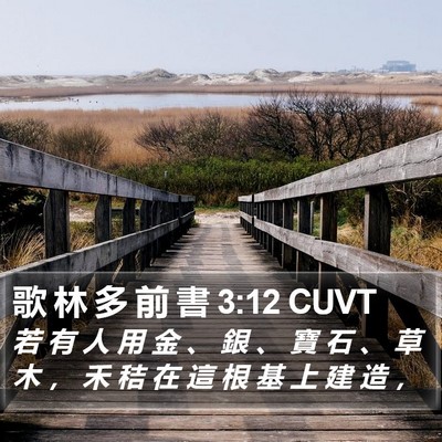 歌 林 多 前 書 3:12 CUVT Bible Verse Image