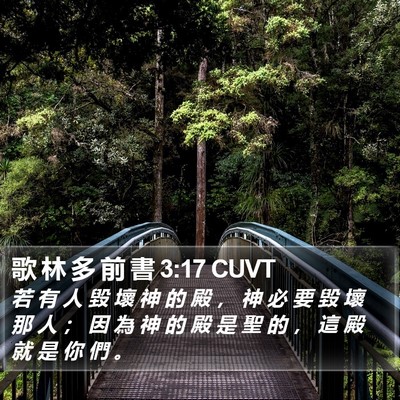 歌 林 多 前 書 3:17 CUVT Bible Verse Image