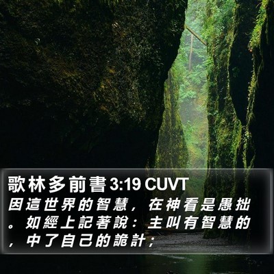歌 林 多 前 書 3:19 CUVT Bible Verse Image