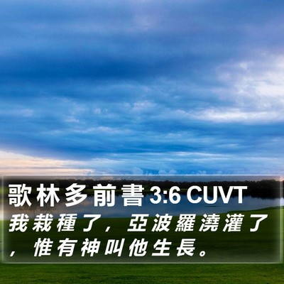 歌 林 多 前 書 3:6 CUVT Bible Verse Image