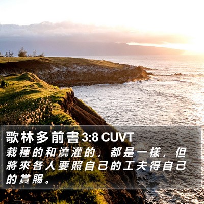 歌 林 多 前 書 3:8 CUVT Bible Verse Image