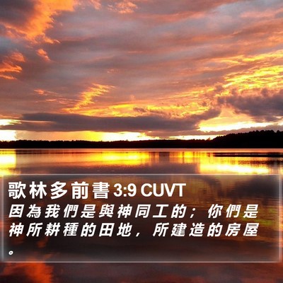 歌 林 多 前 書 3:9 CUVT Bible Verse Image