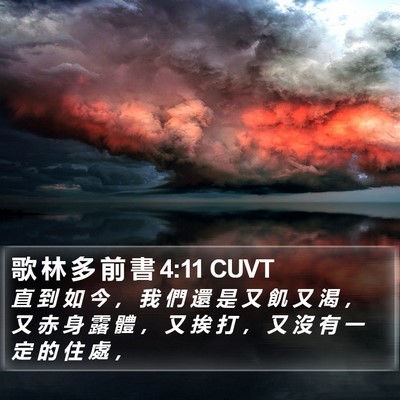 歌 林 多 前 書 4:11 CUVT Bible Verse Image