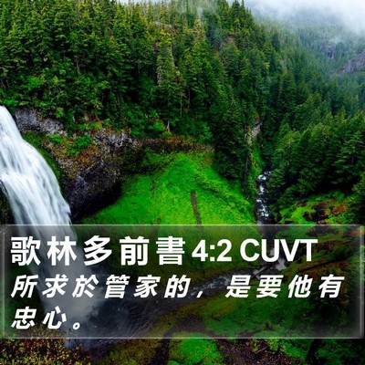 歌 林 多 前 書 4:2 CUVT Bible Verse Image