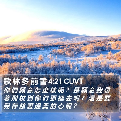 歌 林 多 前 書 4:21 CUVT Bible Verse Image