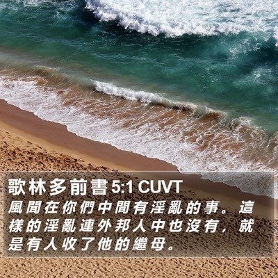 歌 林 多 前 書 5:1 CUVT Bible Verse Image
