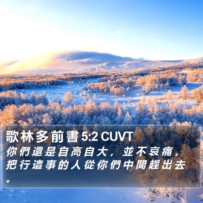 歌 林 多 前 書 5:2 CUVT Bible Verse Image