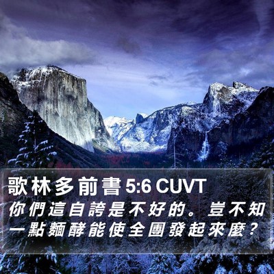 歌 林 多 前 書 5:6 CUVT Bible Verse Image