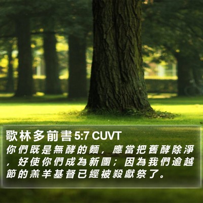 歌 林 多 前 書 5:7 CUVT Bible Verse Image