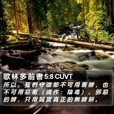 歌 林 多 前 書 5:8 CUVT Bible Verse Image