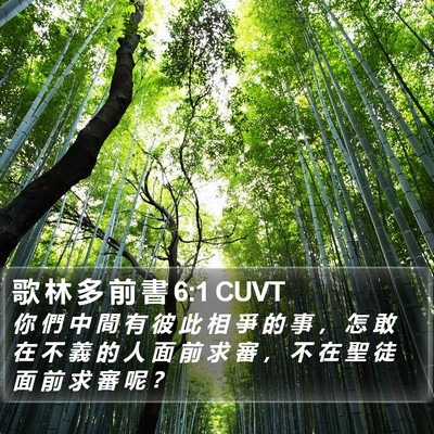 歌 林 多 前 書 6:1 CUVT Bible Verse Image