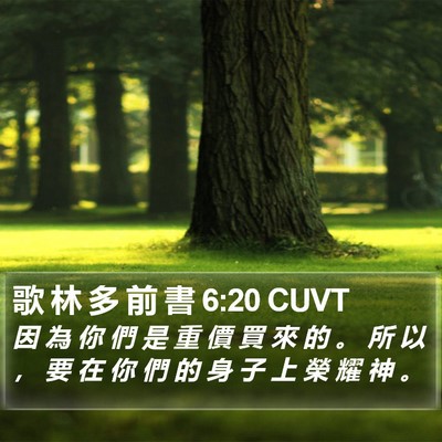 歌 林 多 前 書 6:20 CUVT Bible Verse Image