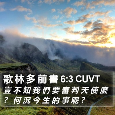 歌 林 多 前 書 6:3 CUVT Bible Verse Image