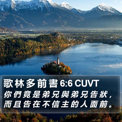 歌 林 多 前 書 6:6 CUVT Bible Verse Image