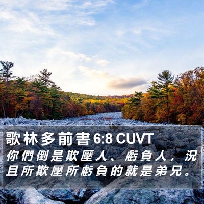 歌 林 多 前 書 6:8 CUVT Bible Verse Image