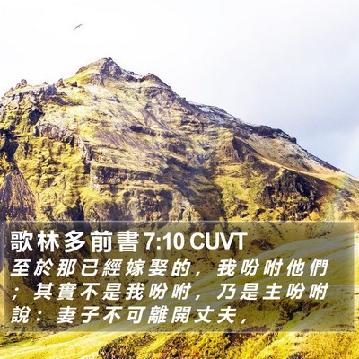 歌 林 多 前 書 7:10 CUVT Bible Verse Image