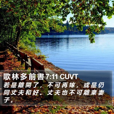 歌 林 多 前 書 7:11 CUVT Bible Verse Image