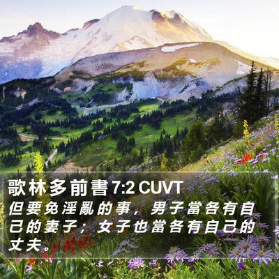 歌 林 多 前 書 7:2 CUVT Bible Verse Image