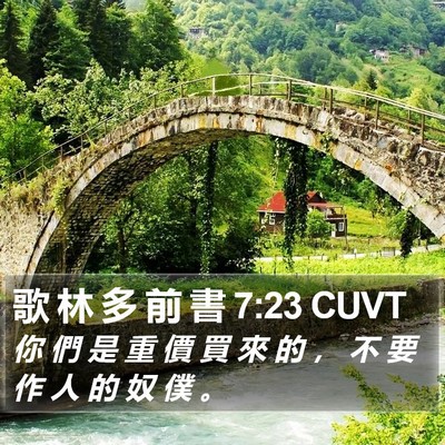 歌 林 多 前 書 7:23 CUVT Bible Verse Image